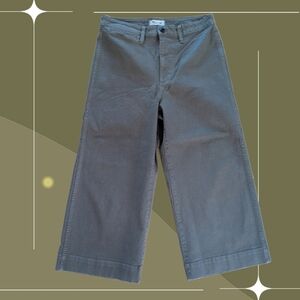 ✨ Madewell Emmett Wide Leg Crop Pant Size 31